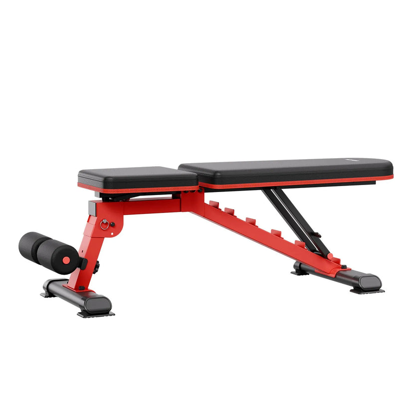 VEVOR Weight Bench Sit up Bench Home Gym Strength Training Adjustable Foldable