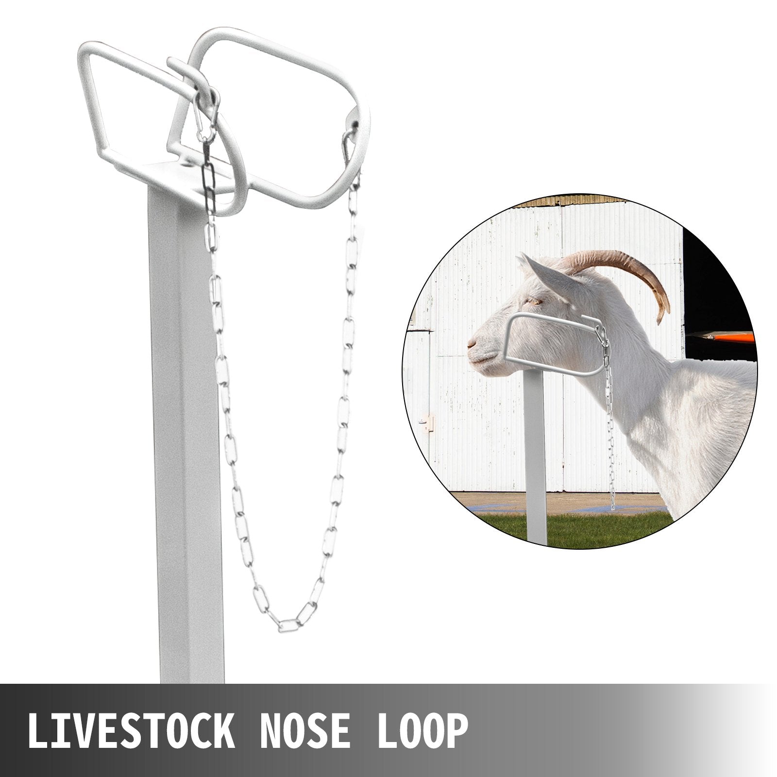 VEVOR Livestock Stand, 51x23 inches Trimming Stand with Straight Head Piece, Goat Trimming Stand Metal Frame Sheep Shearing Stand Livestock Trimming Stands for Sheep, Goats, and Other Livestock