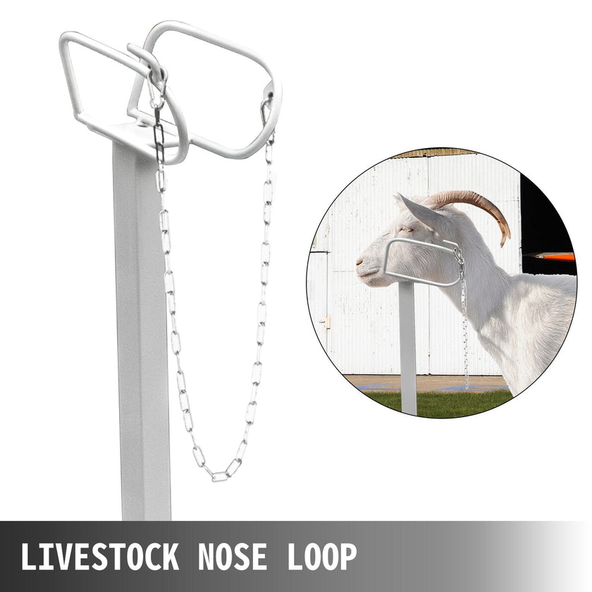 VEVOR Livestock Stand, 51x23 inches Trimming Stand with Straight Head Piece, Goat Trimming Stand Metal Frame Sheep Shearing Stand Livestock Trimming Stands for Sheep, Goats, and Other Livestock