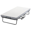 VEVOR Rollaway Bed Folding Bed with 4 in Foam Mattress for Adults and Guest