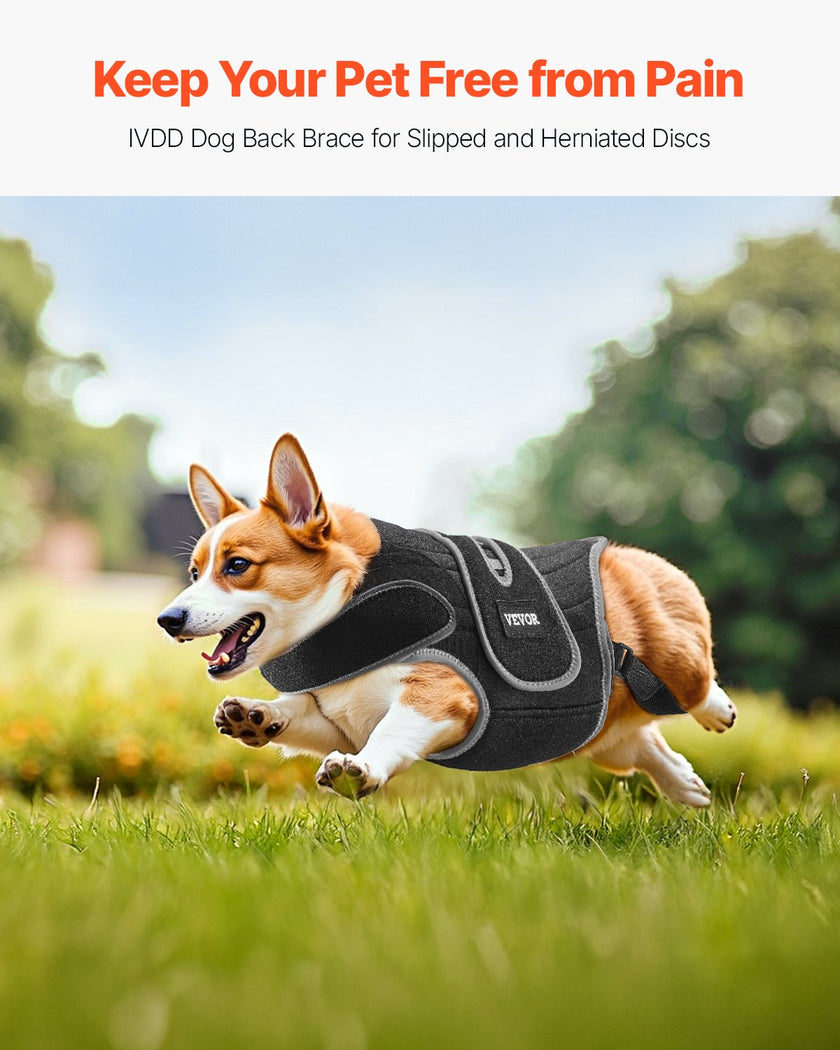 VEVOR Dog Back Brace Adjustable Dog Spine Support Harness for IVDD Pain Relief
