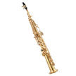 VEVOR Gold Brass Straight Soprano Saxophone B Flat Sax with Case Mouthpiece