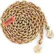 VEVOR Transport Binder Chain, 7100 lbs Working Load Limit, 3/8'' x 20' G80 Tow Chain Tie Down with Grab Hooks, DOT Certified, Galvanized Coating Manganese Steel for Dock Factory Construction Site