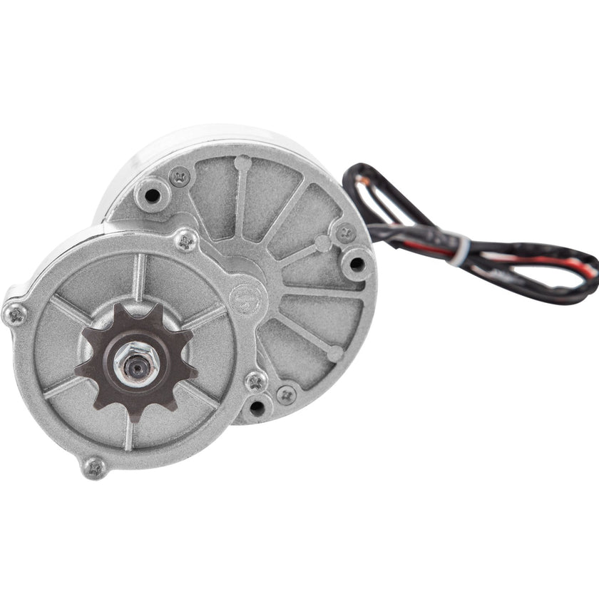 VEVOR Bicycle Reduction Motor 250W 24V Geared Motor 2700RPM 14.3A Brushes Motor with Twist Kit for Electric Bike Conversion Kit Electric Bicycle Scooter Motor