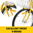 24