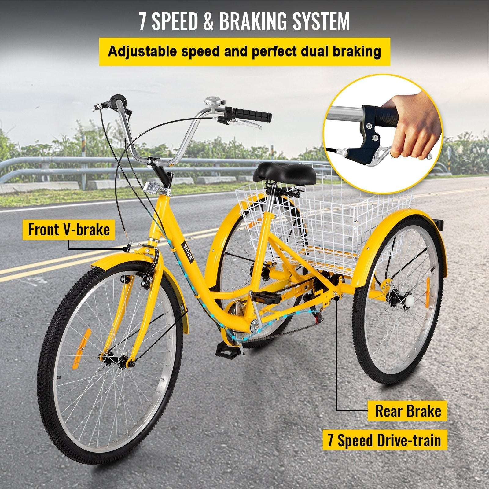 Adult Tricycle 26