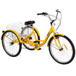 Adult Tricycle 26