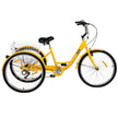 Adult Tricycle 26