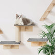Wall Mounted Cat Shelves Set of 9 – Wooden Cat Wall Perches, Hammocks & Jumping Platforms – Space-Saving Cat Furniture (Natural Pine)
