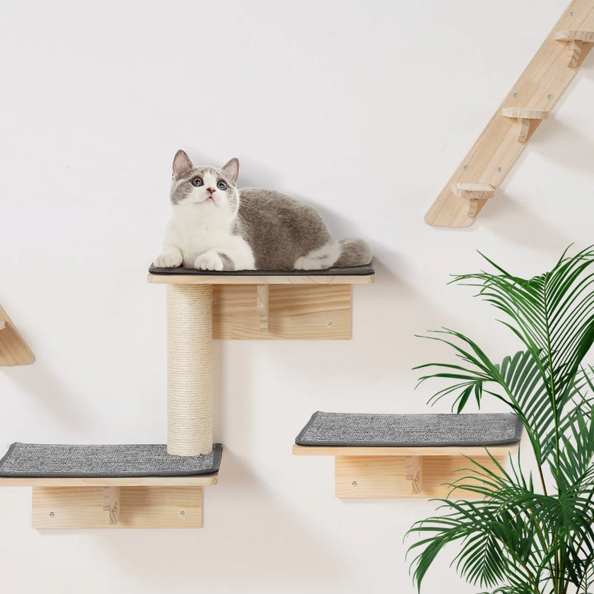 Wall Mounted Cat Shelves Set of 9 – Wooden Cat Wall Perches, Hammocks & Jumping Platforms – Space-Saving Cat Furniture (Natural Pine)