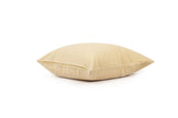Brie Velvet Cushion Cover