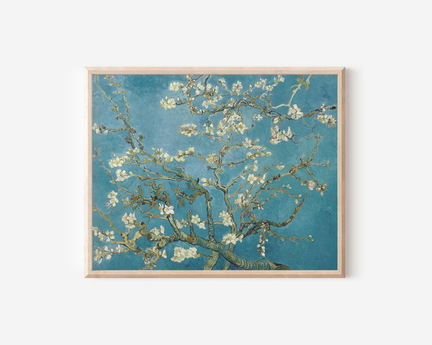 Almond Blossoms