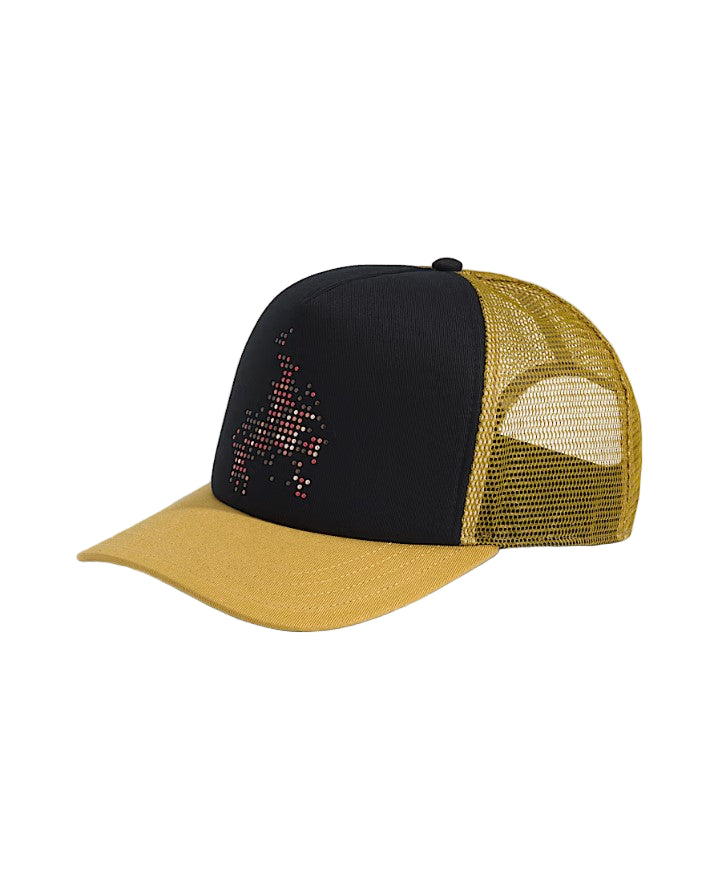 Vans Skate Flame Trucker - Mens Hat