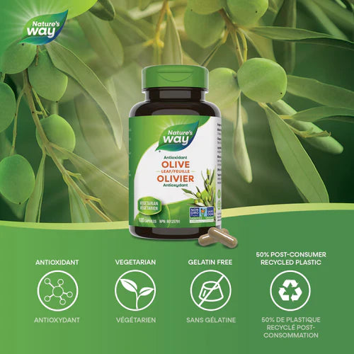 Nature's Way - Olive Leaf