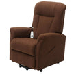 EZee Life Venus CH4010 Dual Motor Lift Chair | Infinite Position Blue Canada