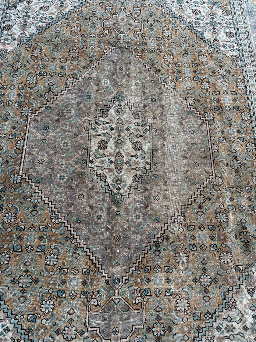 Vintage Ardabil Rug | 6' 11