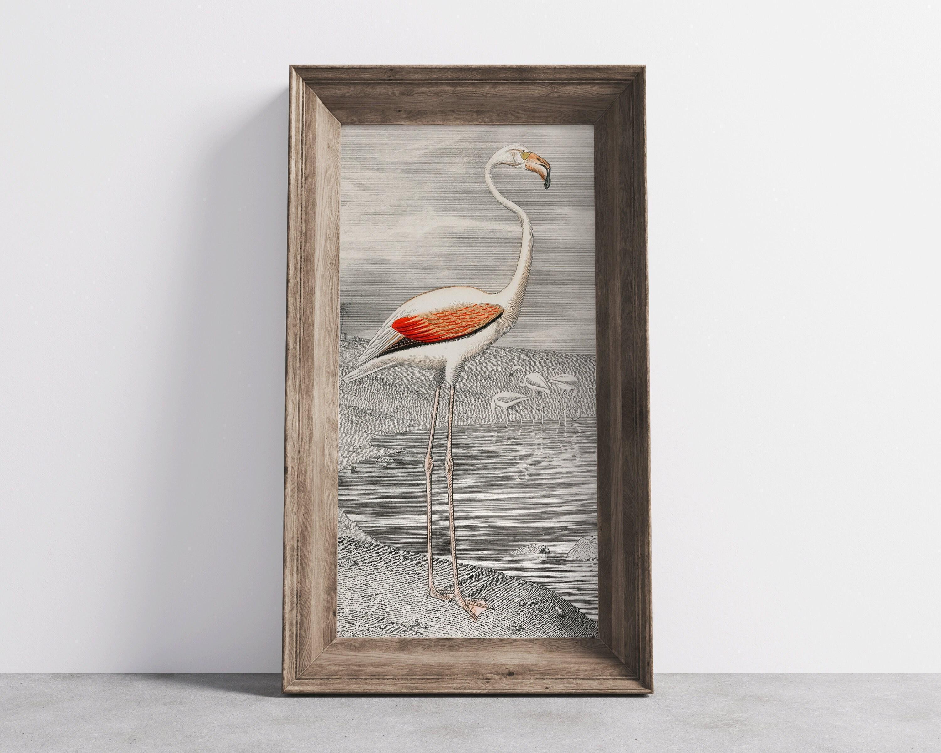 Vintage Flamingo Art Print by Edouard Travies (Handframed or Unframed) (2x1)