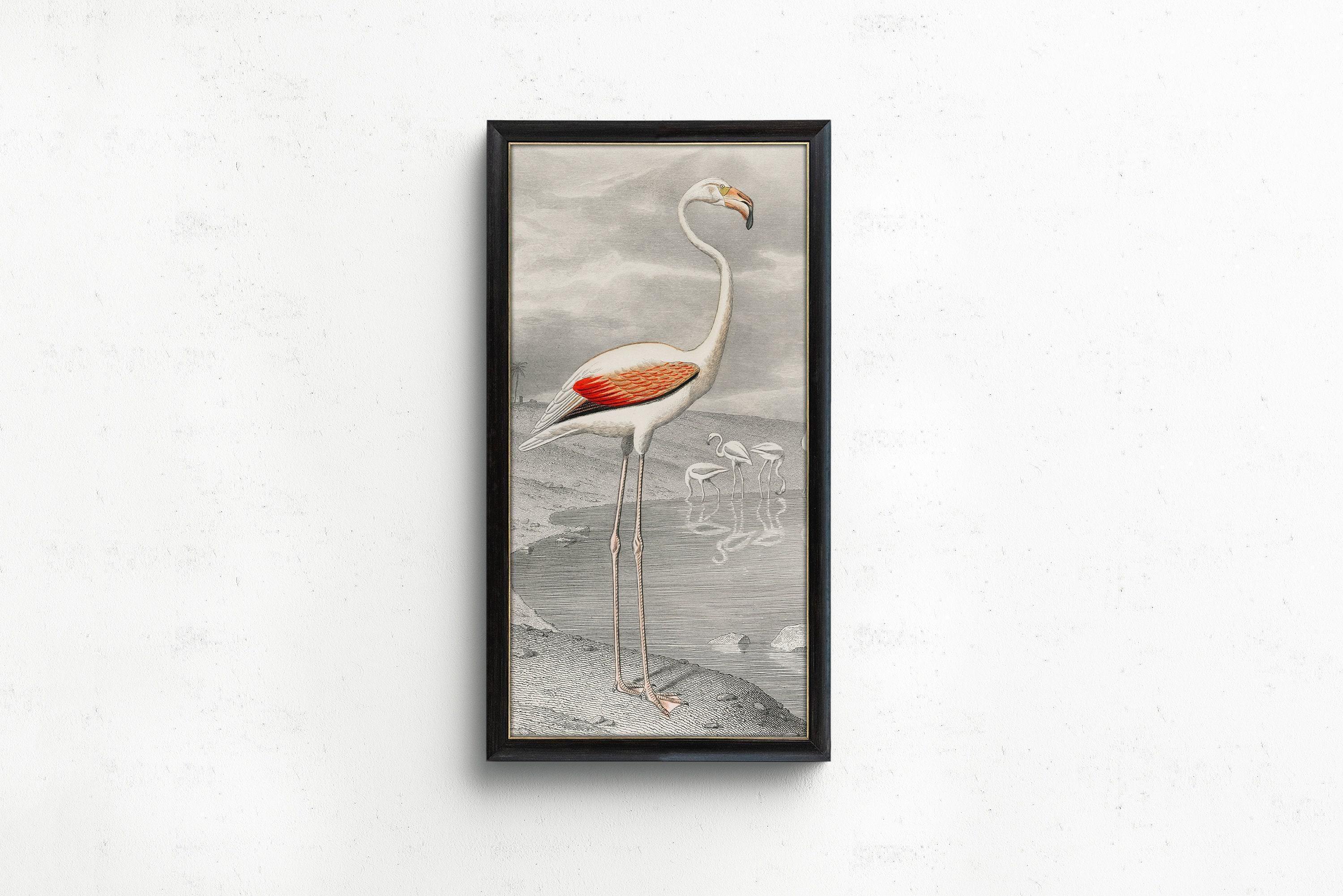 Vintage Flamingo Art Print by Edouard Travies (Handframed or Unframed) (2x1)