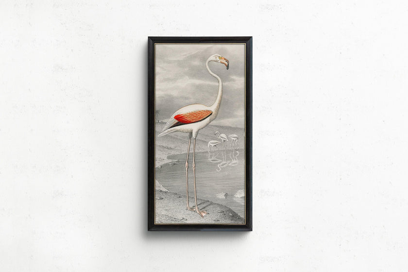 Vintage Flamingo Art Print by Edouard Travies (Handframed or Unframed) (2x1)