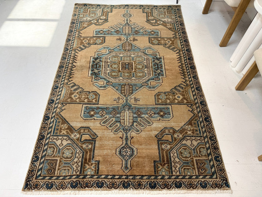 Vintage Hamadan Rug | 3' 11