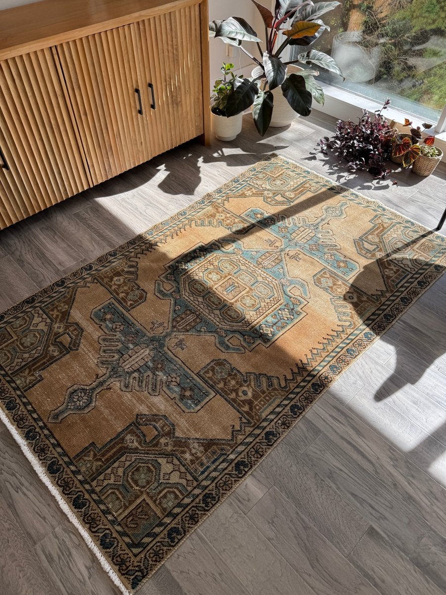 Vintage Hamadan Rug | 3' 11