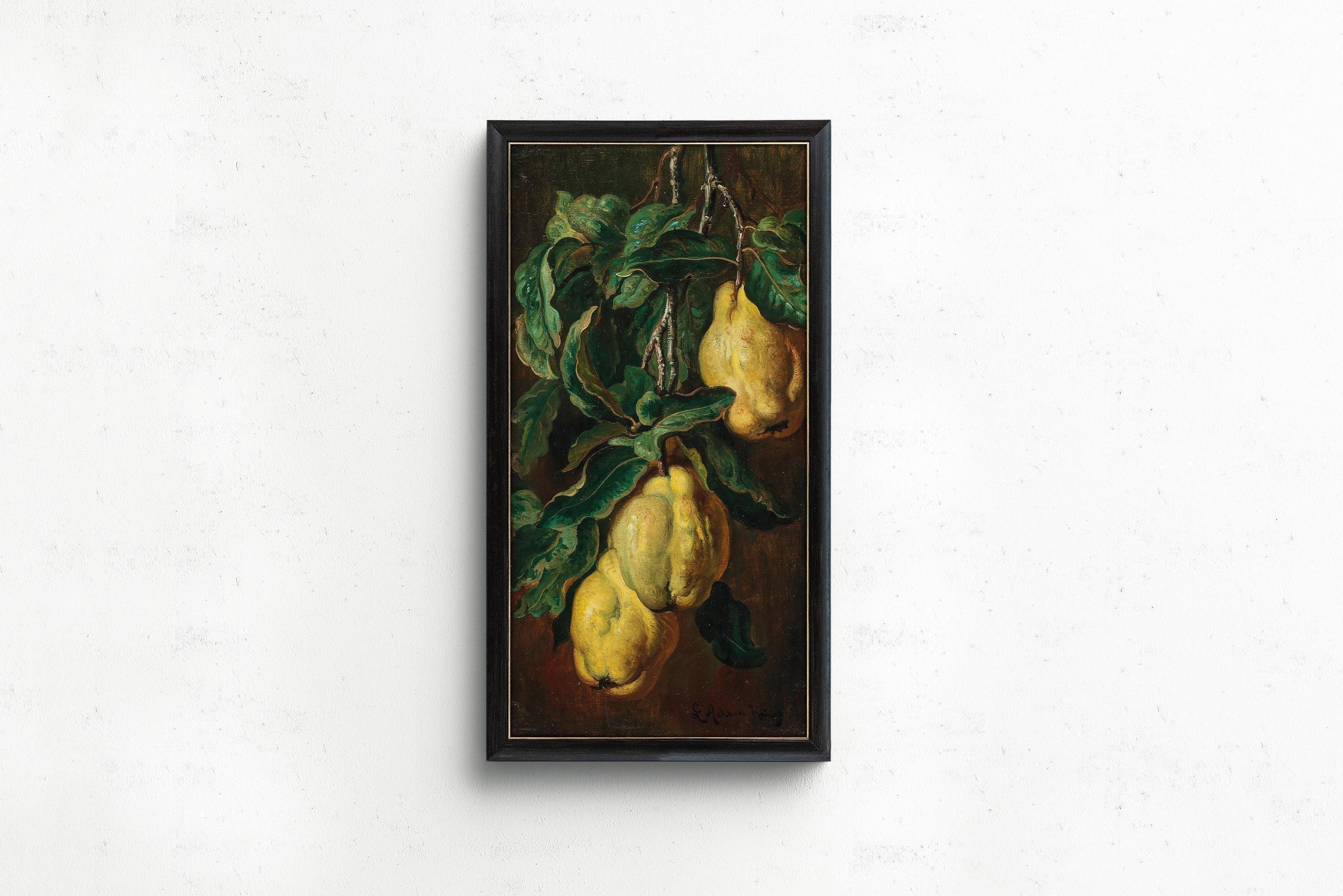 Vintage Quinces Botanical Art Print: Adam Ludwig Kunz, Victorian Fruit Still Life