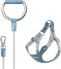 Voocoo - Dog Harness and Leash Set