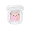 WAKEMAKE Stay Fixer Multi Color Powder 4g