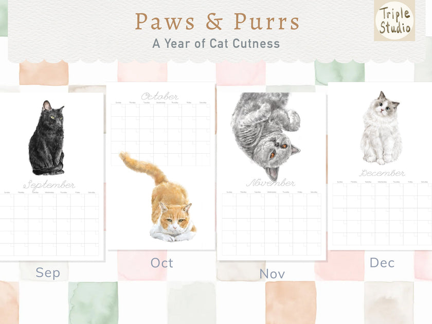 DATELESS Extra Large Wall Calendar with Magnetic Poster Hanger: Cat