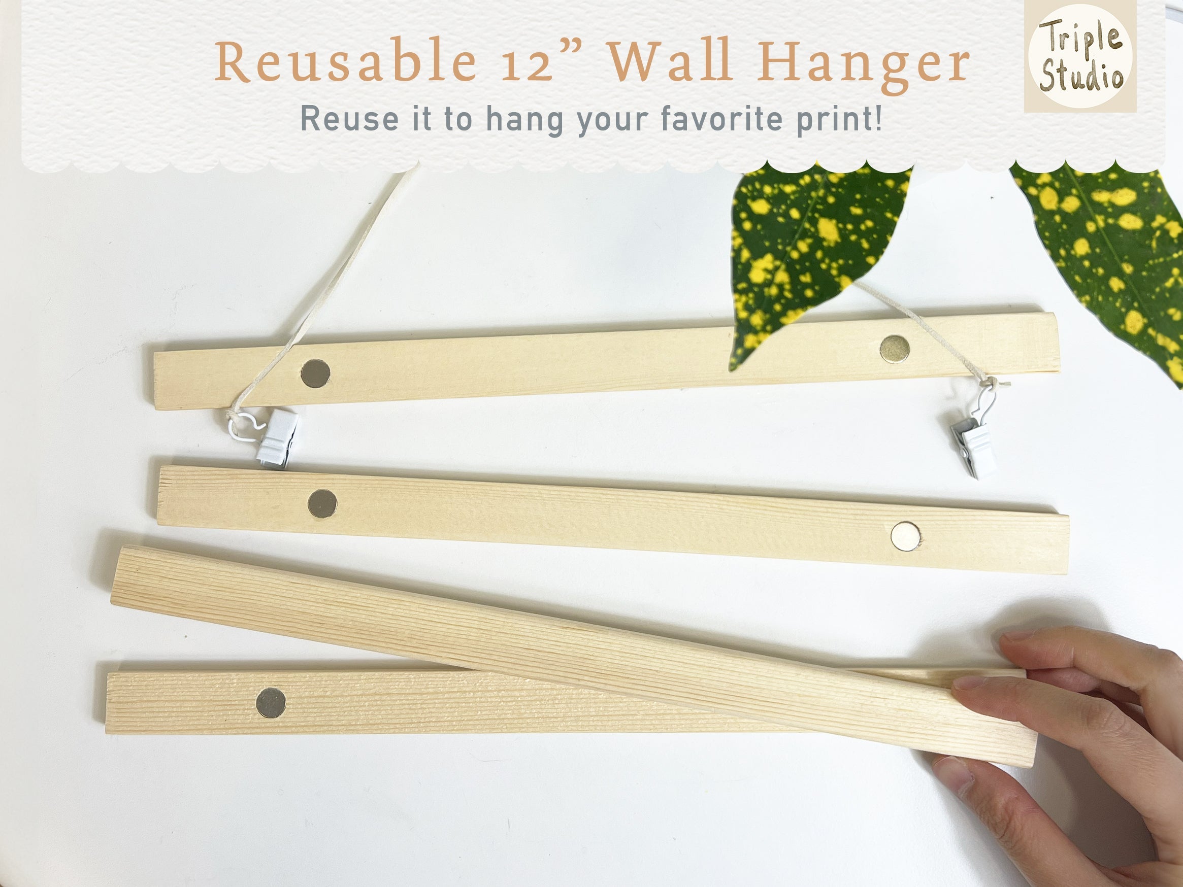 DATELESS Extra Large Wall Calendar with Magnetic Poster Hanger: Cat