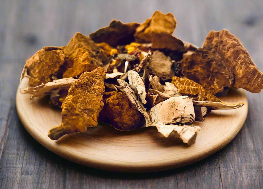 Thé au chaga et au curcuma de Warm Earth