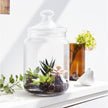 Jar Glass 1.5 L - Pure Jar Club - Luminarc