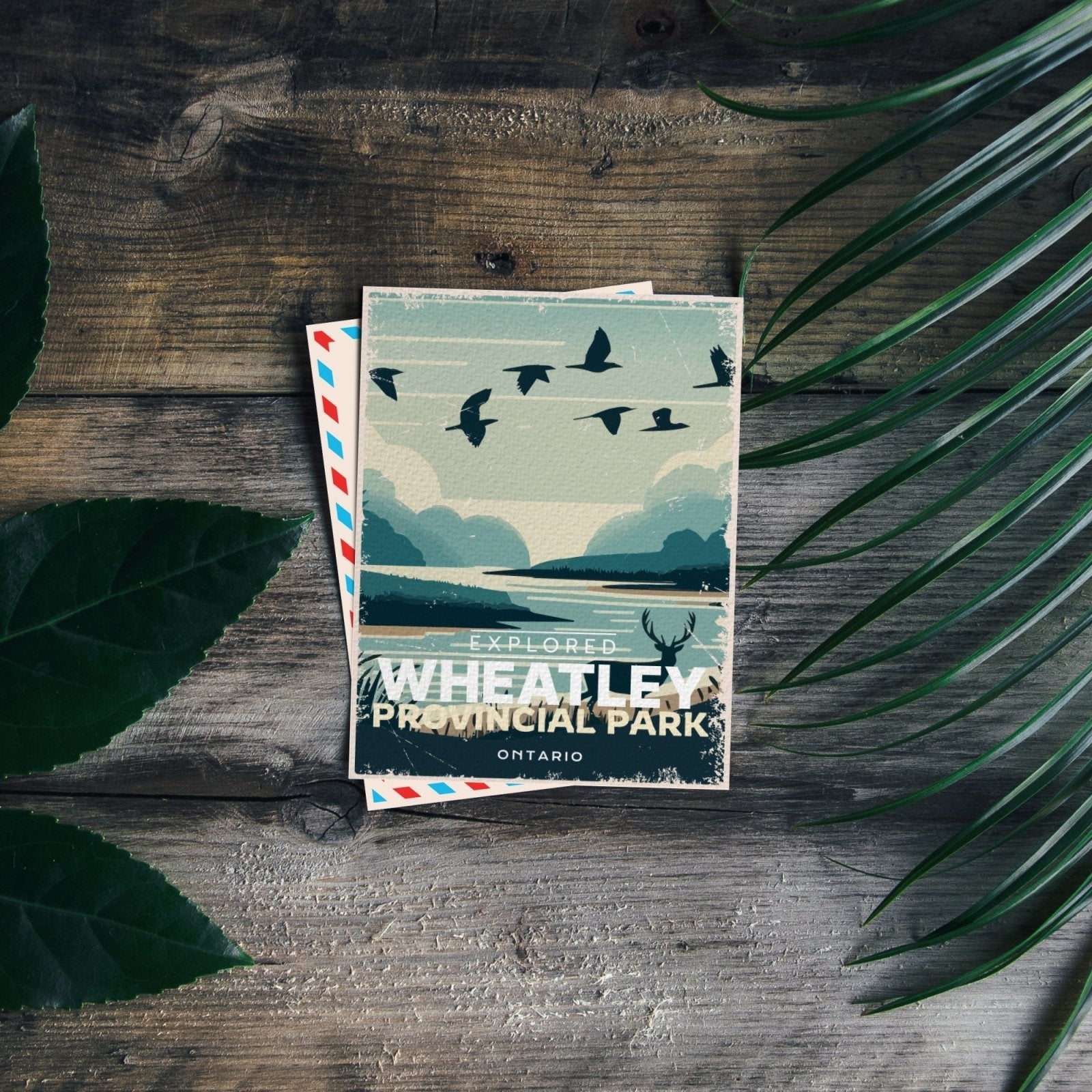 Wheatley Ontario Provincial Park Postcard, Canada Parks