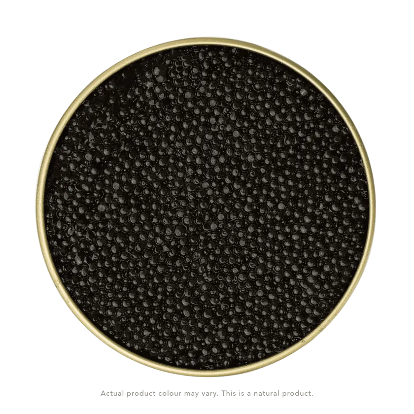 White Sturgeon Caviar