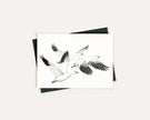 White Geese - Greeting Card