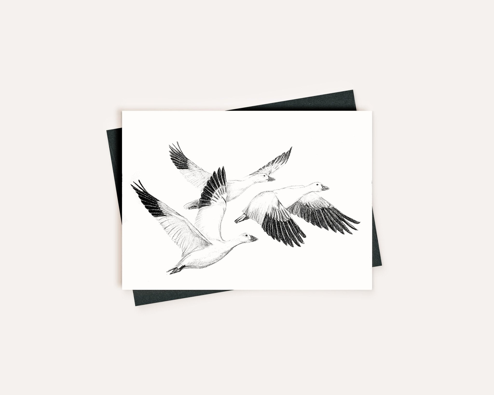 White Geese - Greeting Card