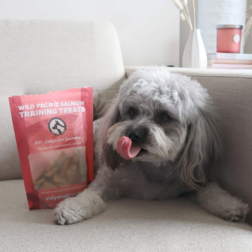 Wild Pacific Salmon Training Treats 170g