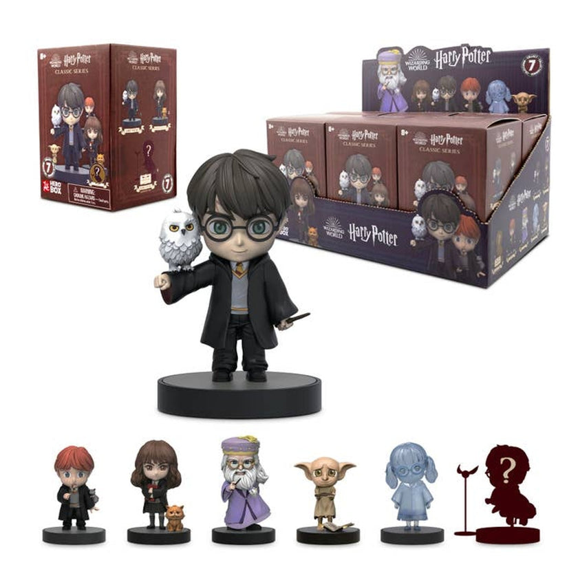 Wizarding World Harry Potter Hero Box Mystery Figure