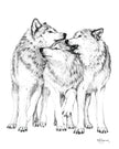 Wolf Pack - Greeting Card