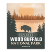Wood Buffalo National Park 'Explored' Poster, Canada Parks