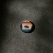 Wood Buffalo National Park of Canada Pinback Button, Canada Parks