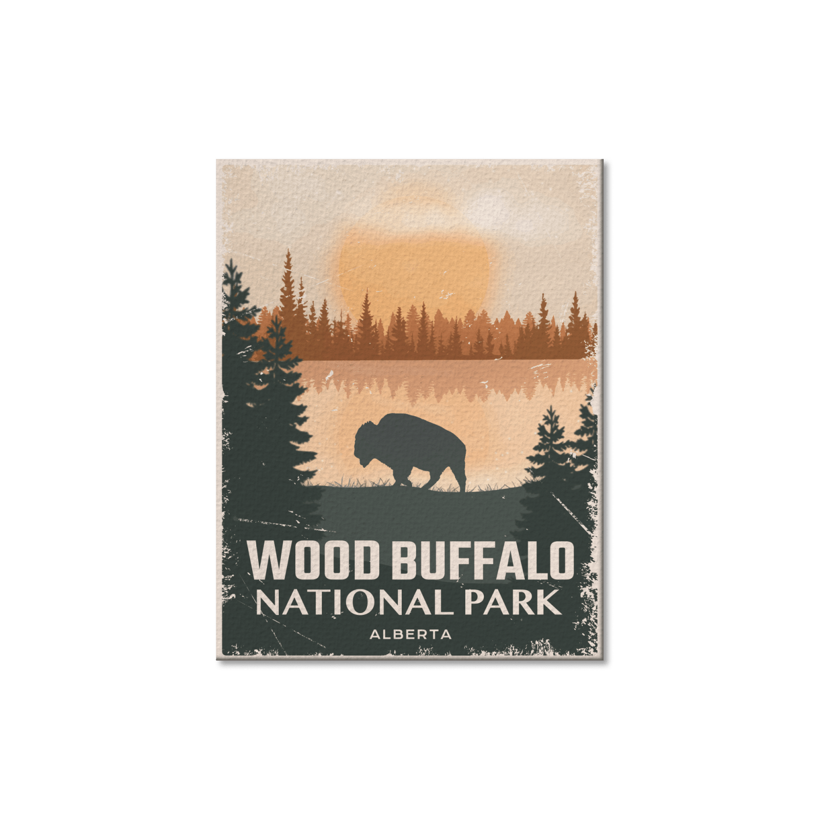 Wood Buffalo National Park of Canada Postcard, Canada Parks