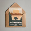 Wood Buffalo National Park of Canada Postcard, Canada Parks