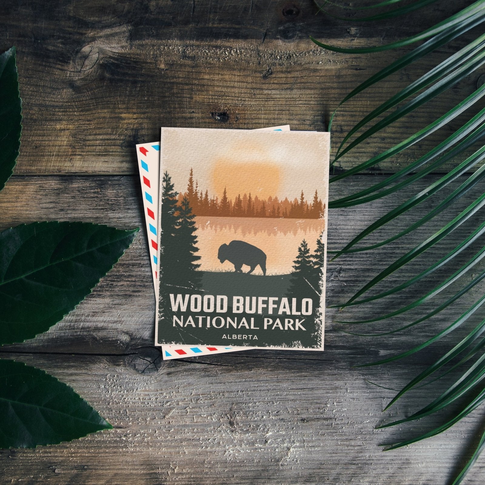 Wood Buffalo National Park of Canada Postcard, Canada Parks