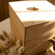 Wooden storage/sorter for constructor