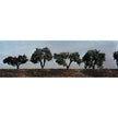 Woodland Scenics HO Small Tree Kits Deciduous Forked Trunk 2-1/4