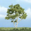 Woodland Scenics Ready Made Premium Trees Deciduous Birch 3-7/8