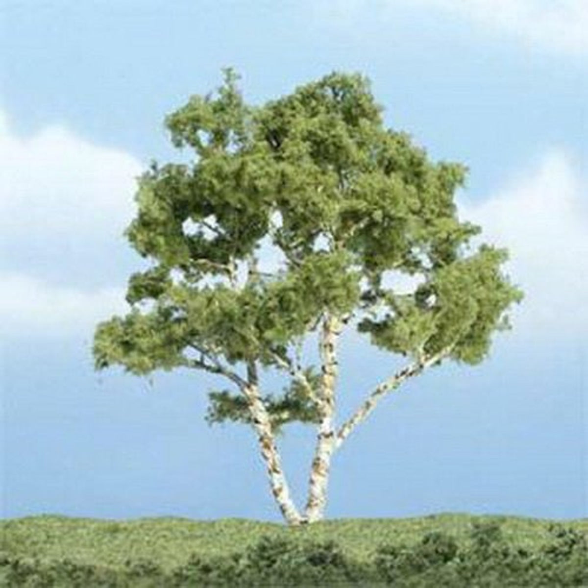 Woodland Scenics Ready Made Premium Trees Deciduous Birch 3-7/8