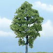 Woodland Scenics Ready Made Premium Trees Deciduous Hickory 5-3/4