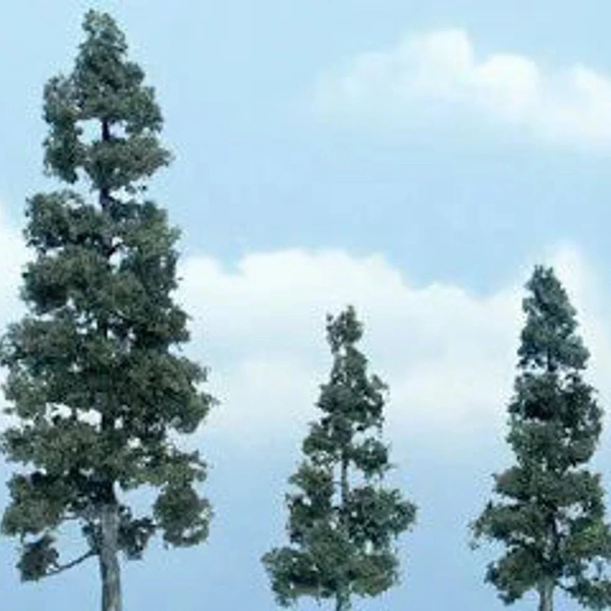 Woodland Scenics Ready Made Premium Trees Deciduous Juniper 1 Each: 5 ...